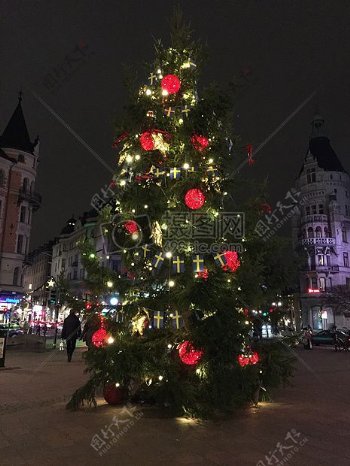 广场中央的圣诞树
