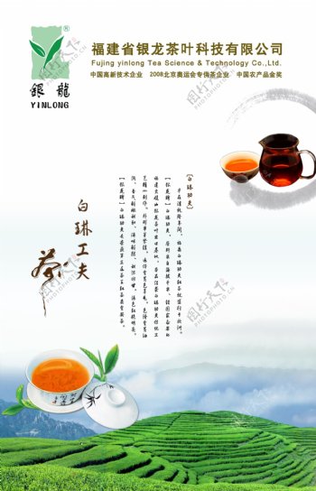茶叶海报PSD
