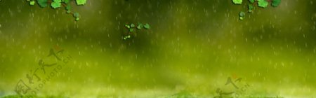 山虎雨苔藓横幅绿色
