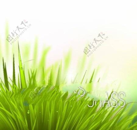 精美绿色草丛矢量素材