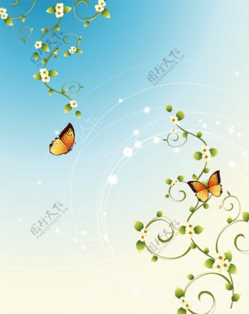 蝶与花二