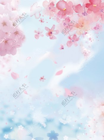 花朵花瓣渲染粉色花朵白色花朵唯美广告素材