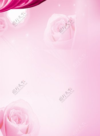 玫瑰玫瑰背景粉色背景