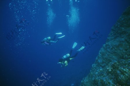 海底世界潜水员大海海底