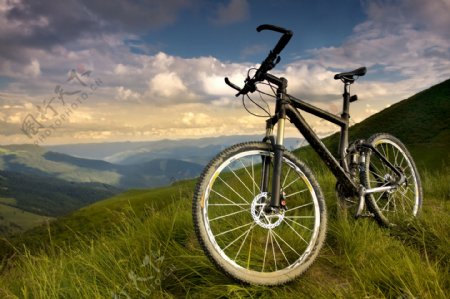 草地上的自行车摄影