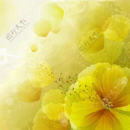 花朵花瓣渐变黄色大自然清新高清主图