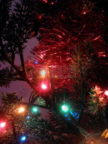 灯光与圣诞树