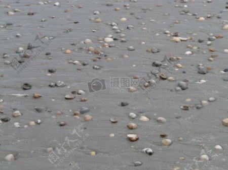 海滩上的石子