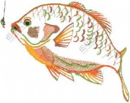 绣花动物鱼色彩彩色免费素材
