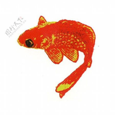 绣花动物鱼色彩红色免费素材