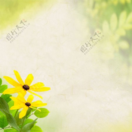 朦胧黄色小花背景