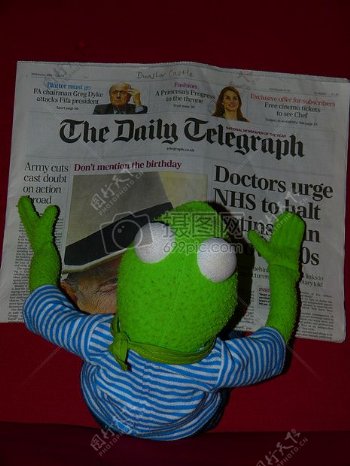 正在看报纸的青蛙