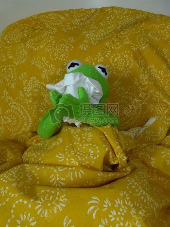 卧床养病的青蛙布偶