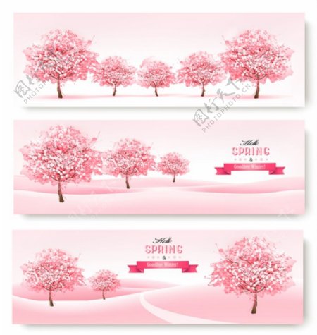 粉色樱花背景素材