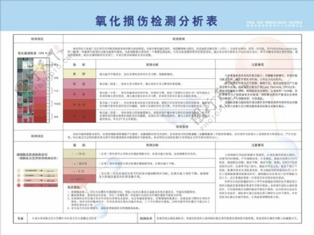 氧化损伤检测分析