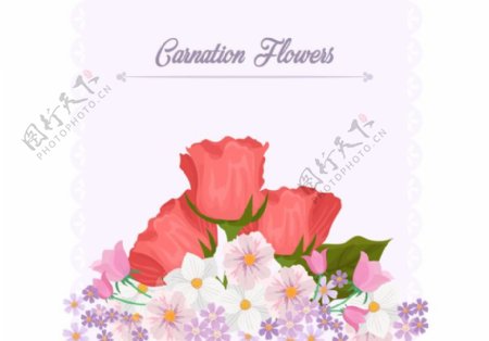 康乃馨花背景模板