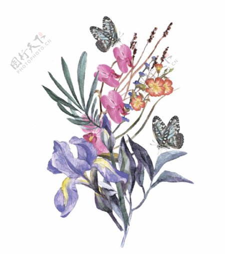 水彩绘美丽的花朵和蝴蝶插画