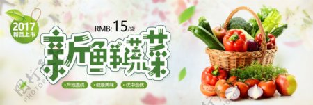 绿色清新新鲜蔬菜水果生鲜电商banner