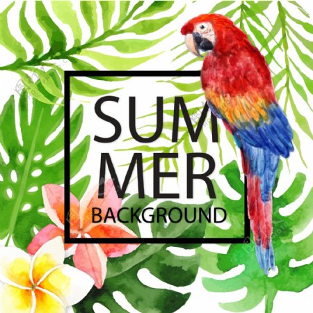 夏季热带鹦鹉和花草矢量素材