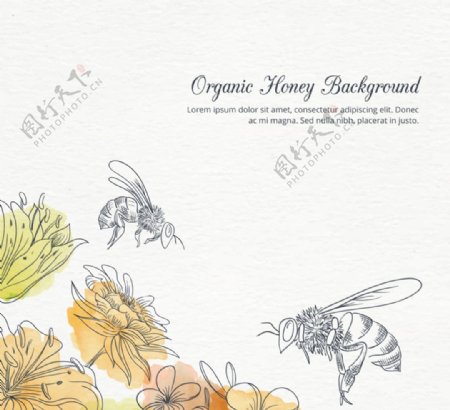 彩绘花丛中采蜜的蜜蜂矢量素材