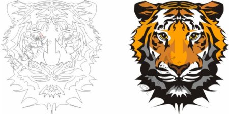 老虎抠图插画