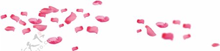 粉色漂浮花朵png元素素材