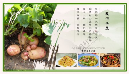 土豆活动海报