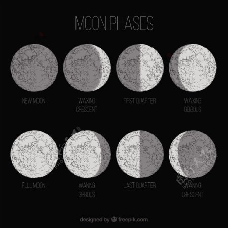 Moon在八个不同阶段