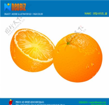 手绘橙子矢量图标设计