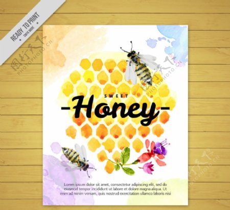 彩绘蜂窝和蜜蜂卡片矢量素材