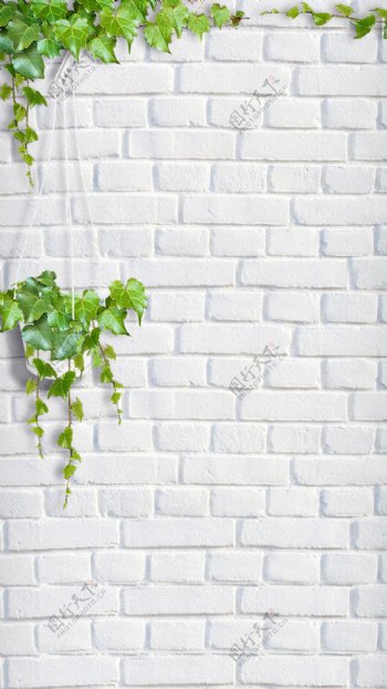 白色砖墙绿叶H5背景素材