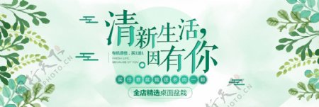 清新手绘多肉盆栽叶子绿色文艺简约电商淘宝海报banner