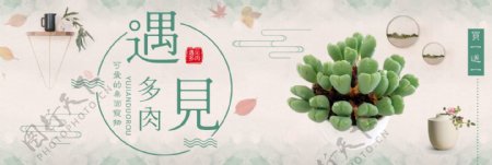 绿色文艺小清新多肉植物电商banner淘宝海报