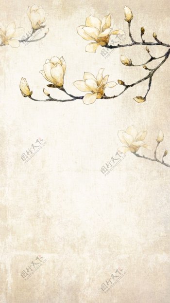 手绘白色玉兰花H5背景素材