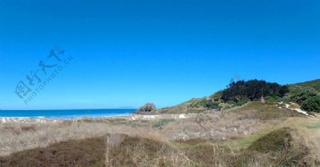 新西兰奥克兰海滨自然风光