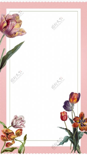 彩色花朵粉底边框H5背景素材
