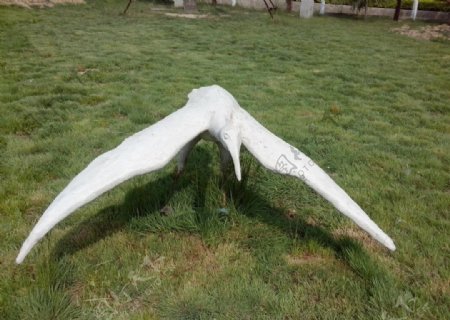 雕刻的飞翔的白鹤
