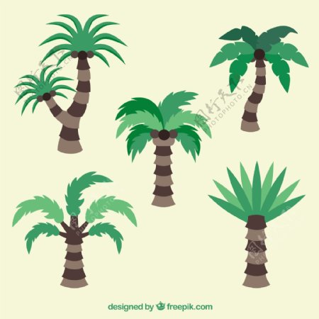 棕榈树设计收集