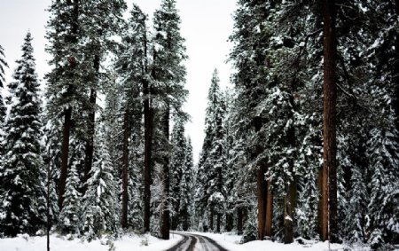 冬日里的道路美景