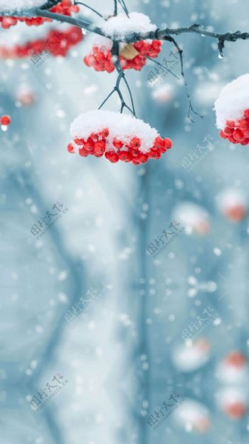 红色果雪花冬季H5背景素材