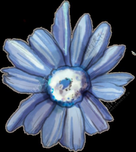 蓝色太阳花透明装饰图案