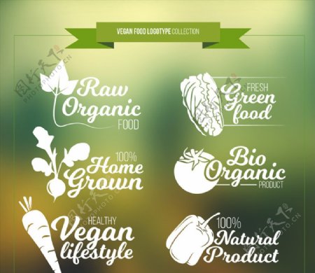 6款创意蔬菜素食标志矢量素材