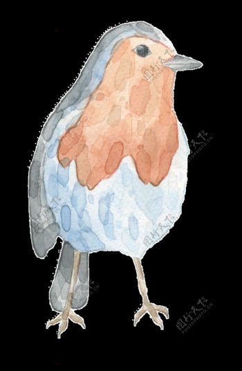 手绘迷茫的小鸟透明装饰图案