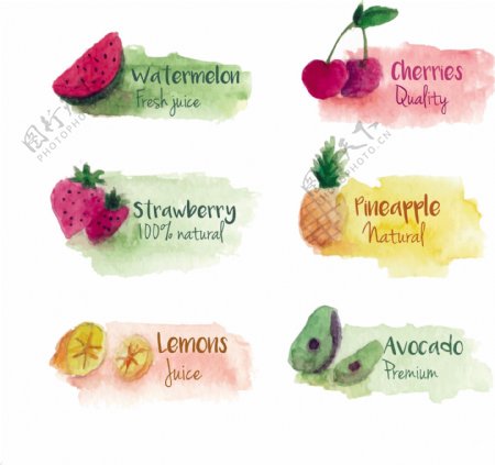 美丽的水彩水果标签