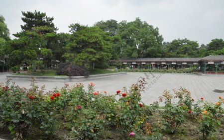 中山公园风景