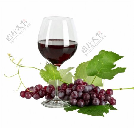 绿色水果葡萄葡萄酒饮品饮料