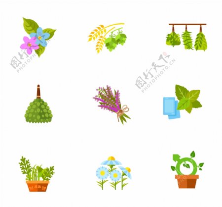 植物和花卉图标集