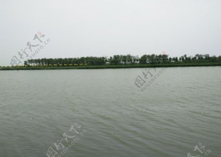黄骅南大港湿地景色