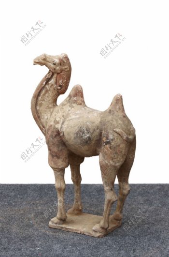 彩陶骆驼