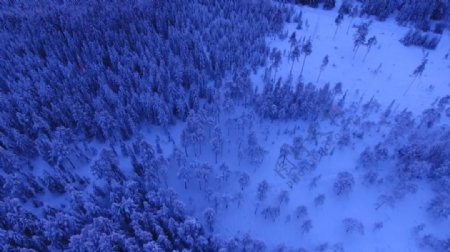 大气航拍雪海中的森林视频素材